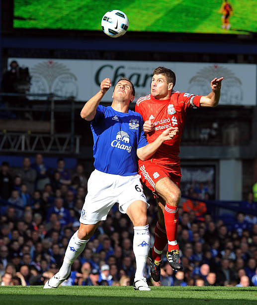 风格和欧洲 风格和欧洲