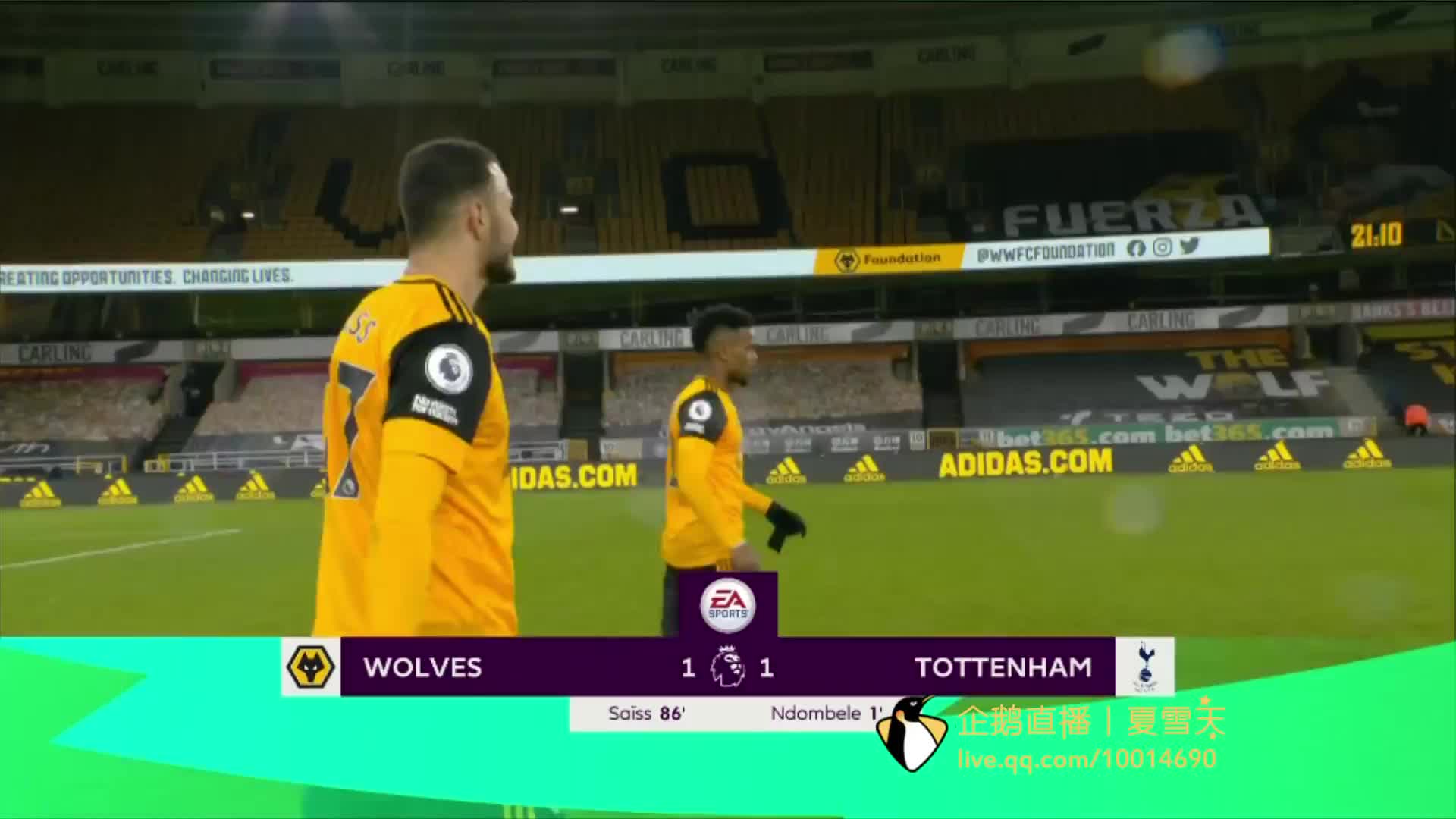 国内体育保 国内体育保